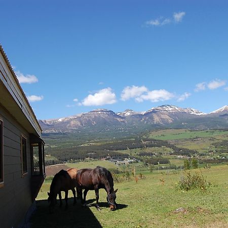 הוילה קויאיקה Cabana Patagonia Nativa Rural מראה חיצוני תמונה
